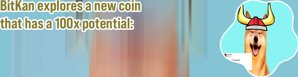 Floki coin crypto