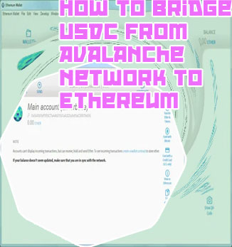 Usdc ethereum wallet